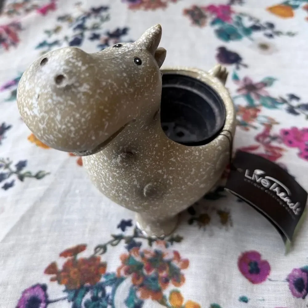 Cute Kawaii Dinosaur Desk Planter Hand Painted Succulent Pot Whimsical Decor
